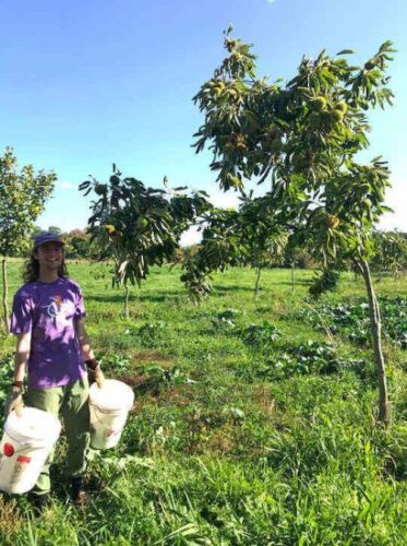 Work Song: An Ode to Land-Based Manual Labor